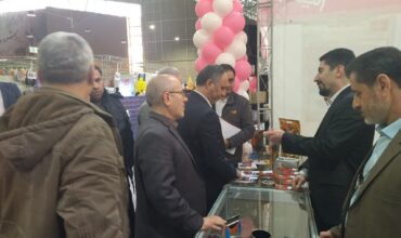 The visit of the honorable director of the General Industry Department of Azarbaijan Province and his delegation to the Rames booth